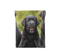 Impresión de Perro Labrador Retriever, Squeeze Top Wallet Bolsa de Almacenamiento para Mujer Monedero pequeño Bolsa de Cambio