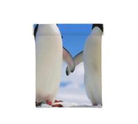 Impresión de pingüinos, Squeeze Top Wallet Bolsa de Almacenamiento para Mujer Monedero pequeño Bolsa de Cambio