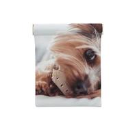Impresión de Yorkshire Terrier, Squeeze Top Wallet Bolsa de Almacenamiento para Mujer Monedero pequeño Bolsa de Cambio