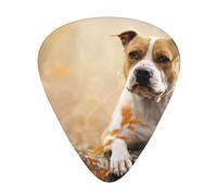 Impresión del American Staffordshire Terrier,12 púas de guitarra, 3 grosores diferentes para guitarra acústica, bajo y ukelele