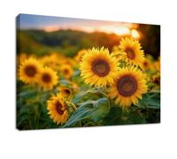 Impresión sobre lienzo con marco estilo campestre - Cuadro de pintura, 100 x 70 cm, color amarillo, flores girasol mar flores - Cuadro póster decorativo de pared para sala de estar, dormitorio, baño y