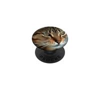 Impresionante Retrato acrílico de Gato atigrado PopSockets PopGrip Adhesivo