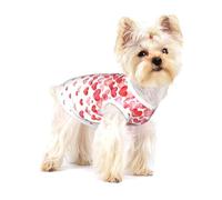 Imprimir Corazones Rojos cayendo,Camiseta de algodón sin Mangas para Mascotas, Chaleco Transpirable, Suave y elástico para Cachorros,L