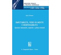 Imputabilità, vizio di mente e responsabilità. Questioni dommatiche, empiriche e politico-criminali (Processo penale e politica criminale)