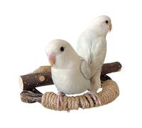 Imtrub Stand de Percha de pájaros, Soporte de Juego de pájaros | Soporte de Percha de Amada de Madera | Accesorios de Jaula de Aves, Rama de Jaula de pájaros con Cuerda para Aves pequeñas a Medianas