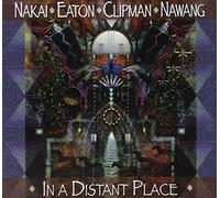 In a Distant Place by R. Carlos Nakai