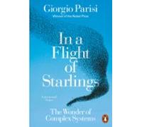 In A Flight Of Starlings (ebook)
