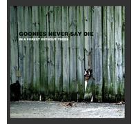 In A Forest Without Trees