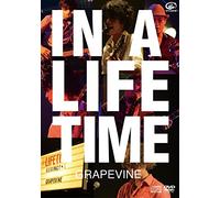 In a Lifetime [DVD de Audio]