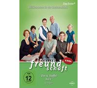 In aller Freundschaft - Staffel 13.1 [Alemania] [DVD]
