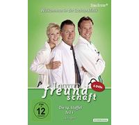 In aller Freundschaft - Staffel 14.1 [Alemania] [DVD]