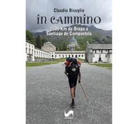 In cammino. 2500 Km da Oropa a Santiago de Compostela (Avventure)