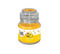 In Canto Tentation Gourmande vela cuatro Quart limón 130 g - - Juego de 3