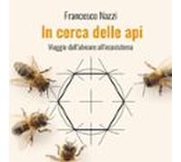 In Cerca Delle Api