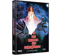 In den Krallen des Hexenjägers [4K Ultra-HD+Blu-Ray+DVD] - uncut - limitiertes Mediabook Cover H [Alemania] [Blu-ray]