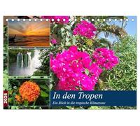 In den Tropen - Ein Blick in die tropische Klimazone (Tischkalender 2026 DIN A5 quer), CALVENDO Monatskalender: Die Tropen begeistern durch eine vielfältige und faszinierende Pflanzenwelt.