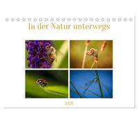 In der Natur unterwegs (Tischkalender 2026 DIN A5 quer), CALVENDO Monatskalender: Mit offenen Augen sieht man oft kleines ganz groß.