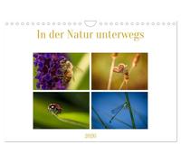 In der Natur unterwegs (Wandkalender 2026 DIN A4 quer), CALVENDO Monatskalender: Mit offenen Augen sieht man oft kleines ganz groß.