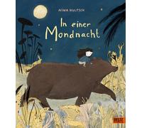 In einer Mondnacht: Ein stimmungsvolles Bilderbuch über Mut und die Kraft der Fantasie