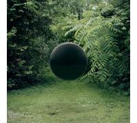 In Kind / Amends [Vinilo]