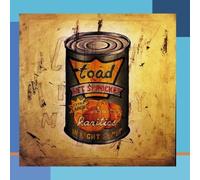 In Light Syrup by Toad The Wet Sprocket (2001-07-20)