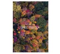 In Love With The Trees: Coffee Table Book About Trees (Edition: Autumn): Large 8.25x11 Inches, Cocktail Table Book Decor Colorful, 80 Pages in High Vibrant Color Photography with Tree Quotes