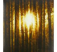 In Mourning - Echoes (Lim.3lp-Box Black Vinyl) [Vinilo]