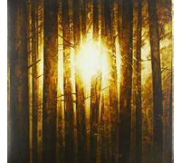 In Mourning - Echoes Volume 2 [Vinilo]