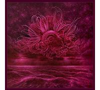 In mourning - Garden of storms