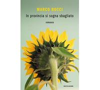 In provincia si sogna sbagliato (Novel)