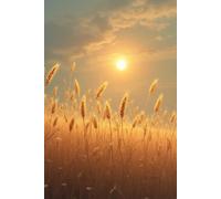 In Quiet Moments: A Journal for Gratitude, Presence, and Simple Joy