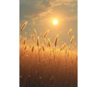 In Quiet Moments: A Journal for Gratitude, Presence, and Simple Joy