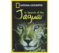 In Search Of The Jaguar [Edizione: Stati Uniti] [USA] [DVD]