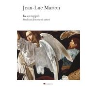 In sovrappiù. Studi sui fenomeni saturi (Au dedans, au dehors)