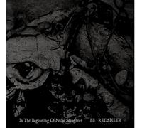 In the beginning of noise slaughter