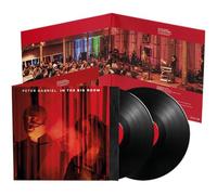 In The Big Room - 2 LP [Vinilo]