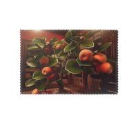 In the castle, there are apple trees Custom Christmas Placemats Juego de 6 manteles individuales de diseño personalizado único, resistentes al calor, manteles de poliéster para decoración festiva de