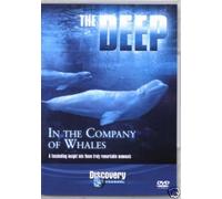 IN THE COMPANY OF WHALES