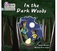 In the Dark Woods: Phase 3 Set 2 (Big Cat Phonics for Little Wandle Letters and Sounds Revised)