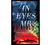 In the Eyes of Mr Fury