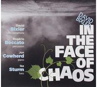 In The Face Of Chaos (Feat. Rogerio Boccato, Jon Cowherd, And IkeSturm)