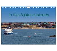 In the Falkland Islands (Wall Calendar 2026 DIN A4 landscape), CALVENDO 12 Month Wall Calendar: British overseas territory in the South Atlantic