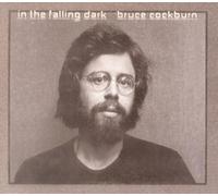 In The Falling Dark