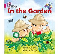 In the Garden: A simple story about two boys and the different places they to play in the garden. (Collins Big Cat)