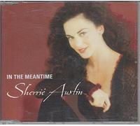 In the meantime [Single-CD]