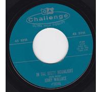 In The Misty Moonlight/Cannon Ball (7"/45 rpm)