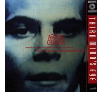 In the Nursery An Ambush of Ghosts (CD)