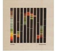 In the Pines Painting By Numbers - Orange (Vinyl) (Importación USA)