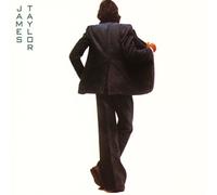 In the Pocket by James Taylor