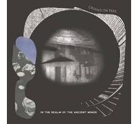 In the Realm of the Ancient Minor [Vinilo]